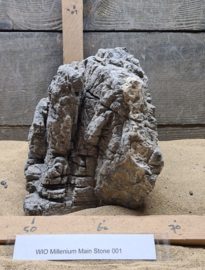 Millenium Main Stone 001