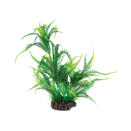 Superfish Art Plant 25cm Microsorum