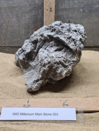 Millenium Main Stone 003