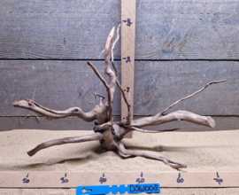 Dark Spiderwood DSW008
