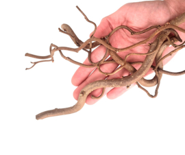 WIO Root twisted 140 gram