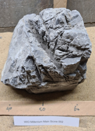 Millenium Main Stone 002