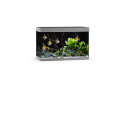 Juwel Rio 290 LED