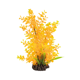 Superfish Art Plant 25cm Ludwigia "Orange"