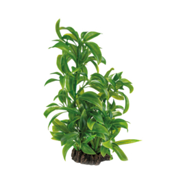 Superfish Art Plant 25cm Dracaena