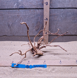 Spiderwood Selectie SP0002