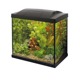 Superfish Start 50 Tropical Kit Zwart