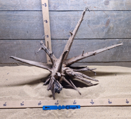 Corbo Root CS0009