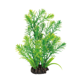 Superfish Art Plant 25cm Hottonia