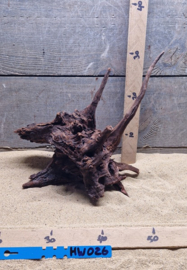 Hornwood HW026
