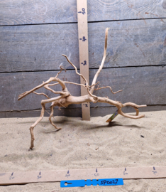 Spiderwood Selectie SP0027