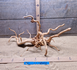 Spiderwood Selectie SP0026