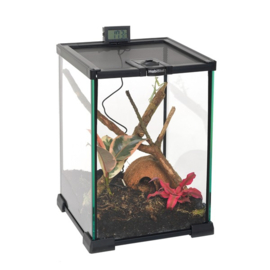 Habistat glazen terrarium 21 x 21 x 30cm