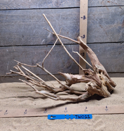 Talawa Wood TW011