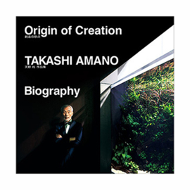Origin of Creation