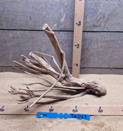 Talawa Wood TW017