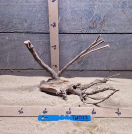 Talawa Wood TW013