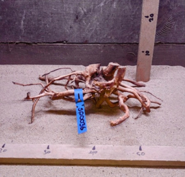 Spiderwood Selectie SP0036