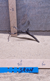Scaper Root SR018
