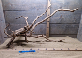 Spiderwood Selectie SP0038