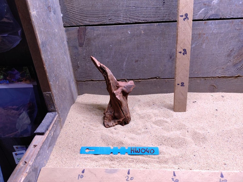Hornwood HW040