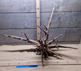 Corbo Root CS0008
