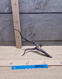 Scaper Root