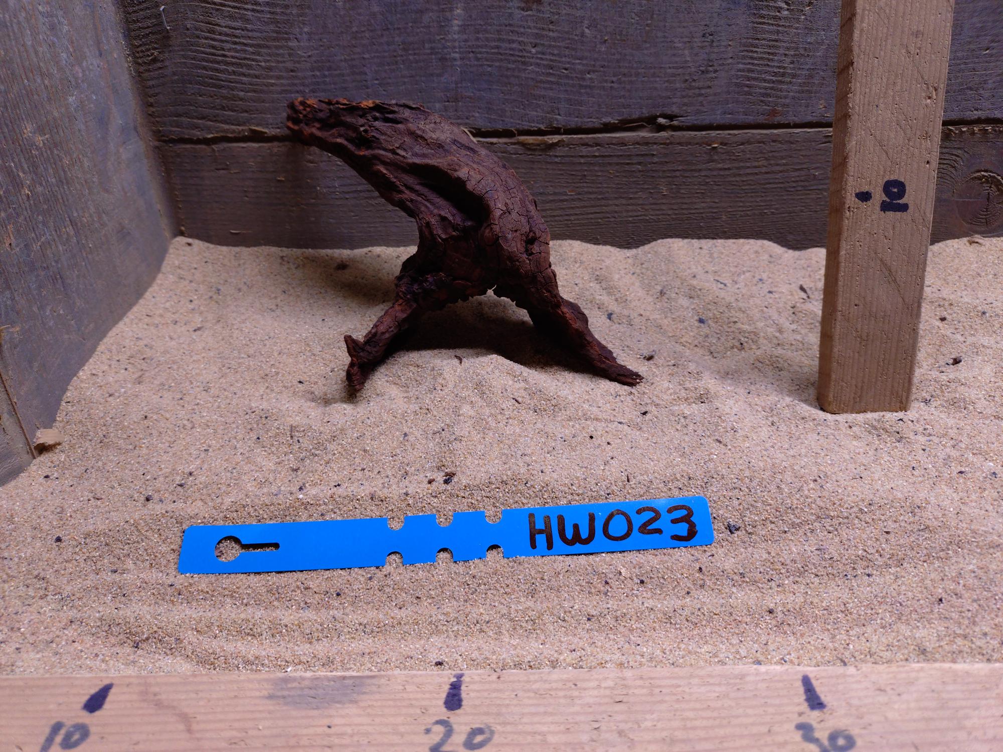 Hornwood HW023