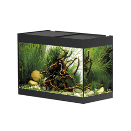 Oase Styleline 125 Aquarium