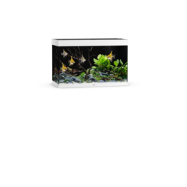 Juwel Rio 290 LED