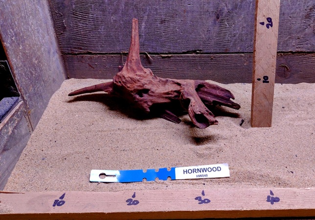Hornwood HW048