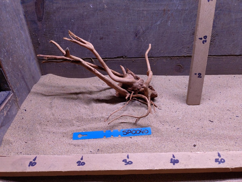 Spiderwood SP0040