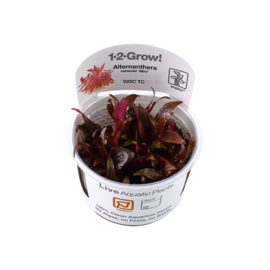 Tropica 1-2 Grow