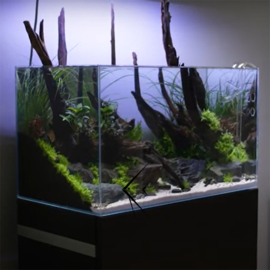 Oase Scaperline 60 Aquarium