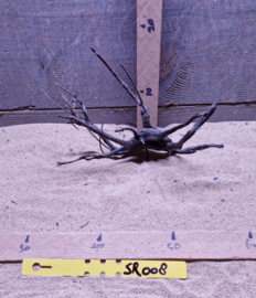 Scaper Root SR008