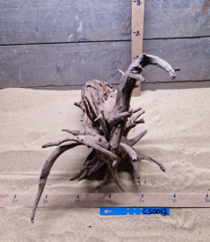Corbo Root CS0012