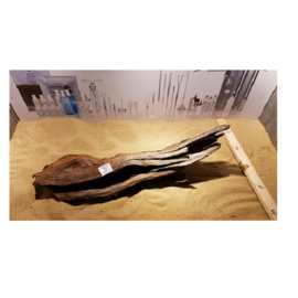 Driftwood SuperLarge  circa 70 cm