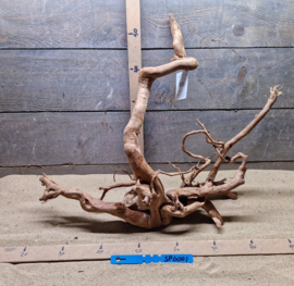 Spiderwood
