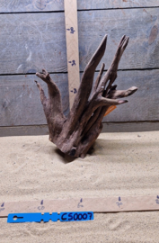 Corbo Root CS0007