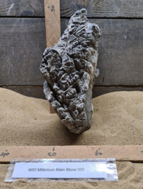 Millenium Main Stone 005