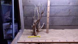 Talawa Wood TW002