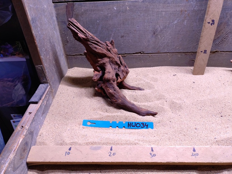 Hornwood HW034