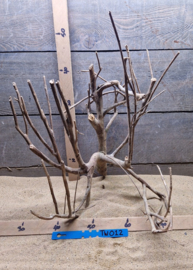 Talawa Wood TW012