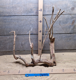 Talawa Wood TW007