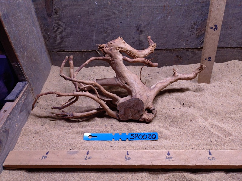 Spiderwood SP0020