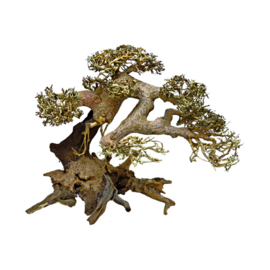 Bonsai Handmade