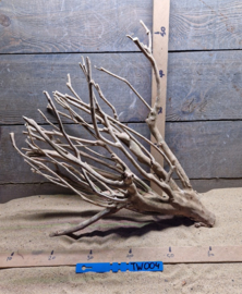 Talawa Wood TW004