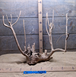Talawa Wood TW005