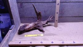 Zambia Wood ZW001