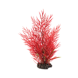 Superfish Art Plant 25cm Ludwigia